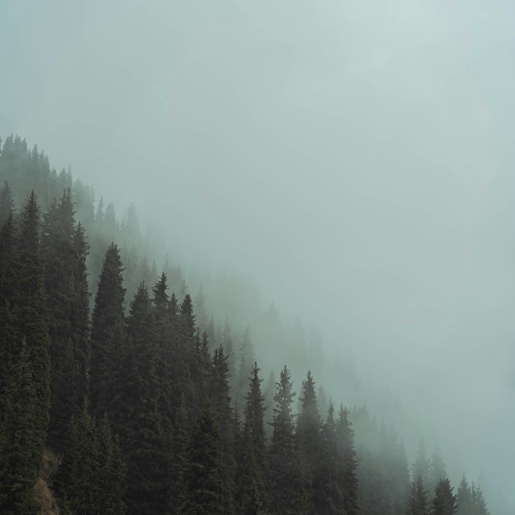 Uniikki hermostosi - workshop